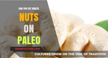 Are Brazil Nuts Paleo-Friendly? A Nutritional Guide for Paleo Eaters