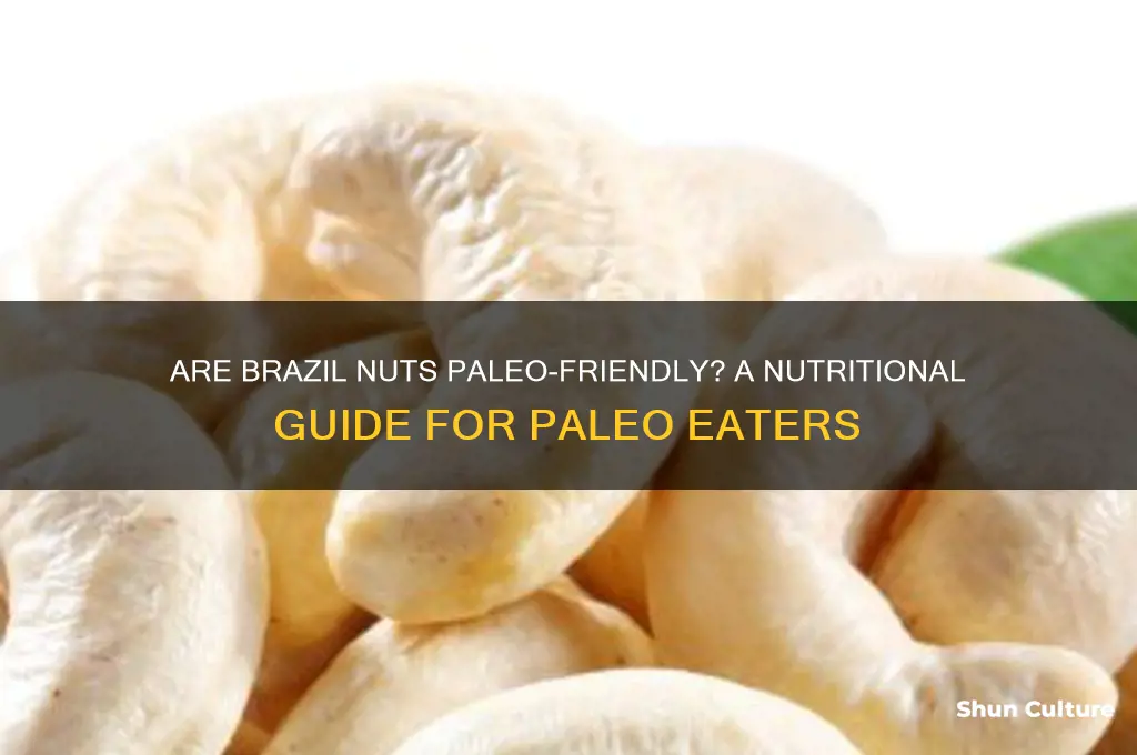 can you eat brazil nuts on paleo