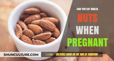 Pregnancy and Brazil Nuts: Safe or Risky? Expert Advice