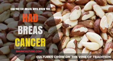 Brazil Nuts and Breast Cancer: Safe to Eat After Treatment?