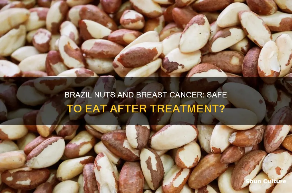 can you eat brazil nuts when you had breas cancer
