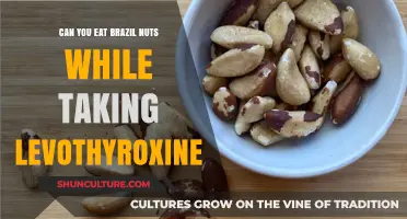 Brazil Nuts and Levothyroxine: Safe to Eat Together?