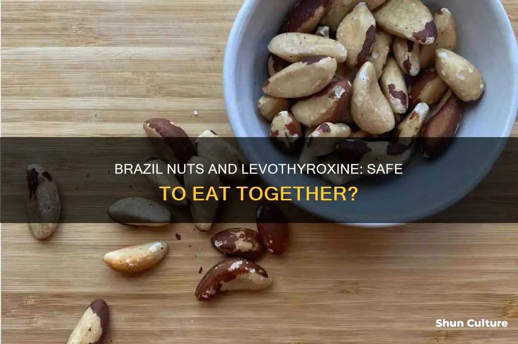 can you eat brazil nuts while taking levothyroxine