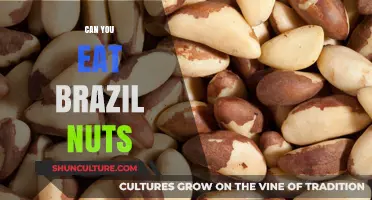 Can You Eat Brazil Nuts? Nutritional Benefits and Safe Consumption Tips