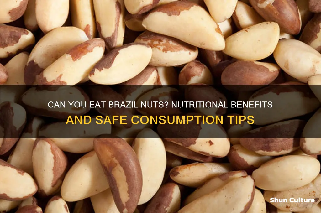 can you eat brazil nuts