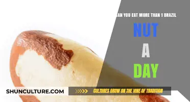 Brazil Nuts Daily: Safe to Eat More Than One?