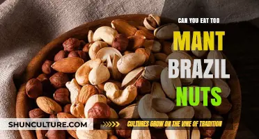 Brazil Nuts: Balancing Benefits and Risks of Overconsumption