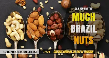 Brazil Nuts: Balancing Benefits and Risks of Overeating This Superfood