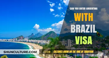 Traveling to Argentina with a Brazil Visa: What You Need to Know