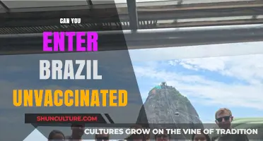 Traveling to Brazil Unvaccinated: Current Entry Requirements and Guidelines