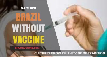 Traveling to Brazil: Vaccine Requirements and Entry Guidelines Explained
