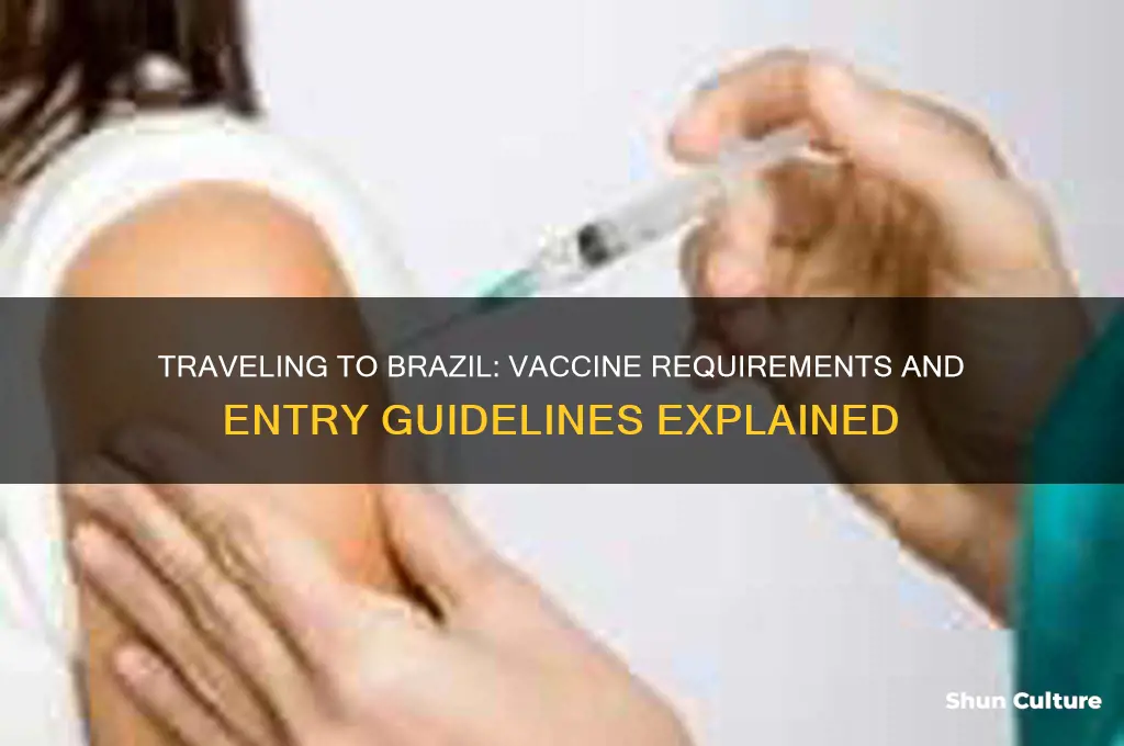 can you enter brazil without vaccine