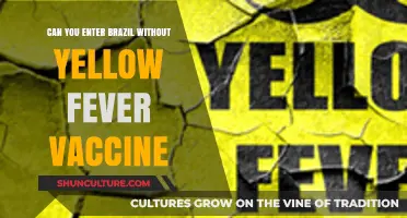 Traveling to Brazil: Yellow Fever Vaccine Requirements Explained