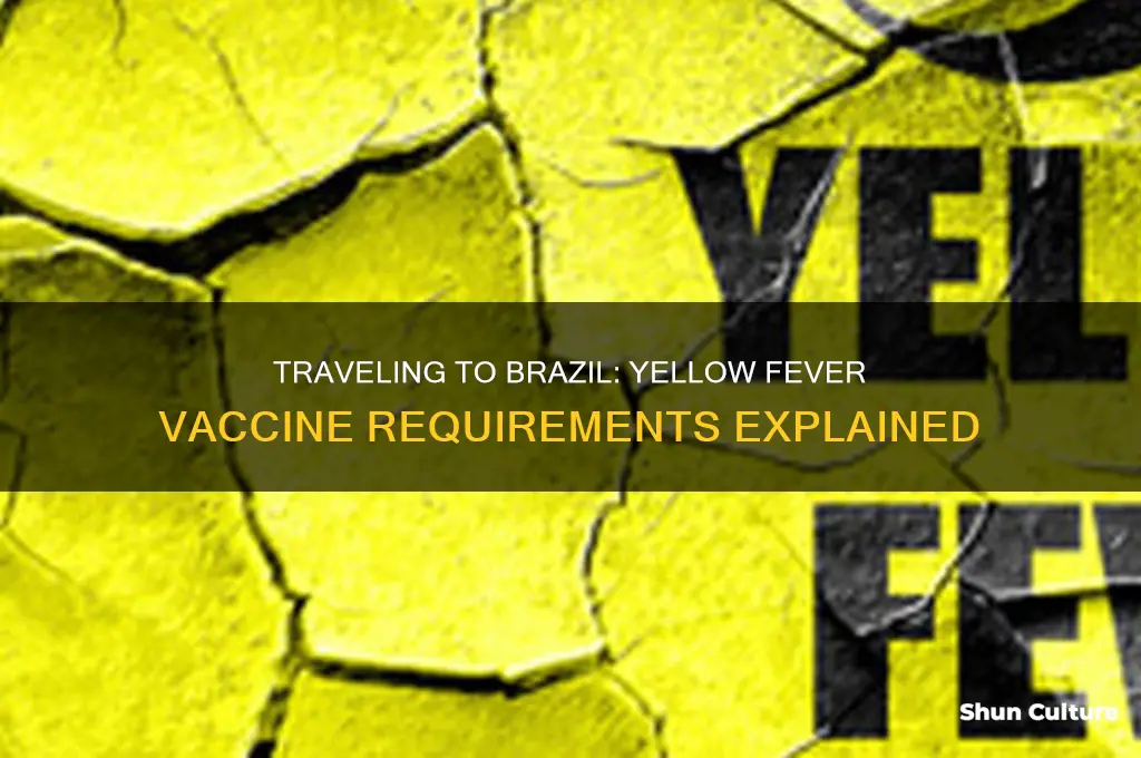 can you enter brazil without yellow fever vaccine
