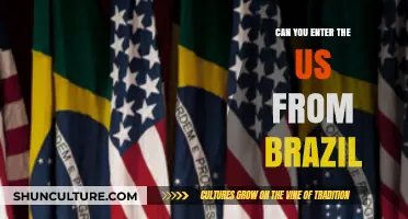 Traveling to the US from Brazil: Entry Requirements and Tips