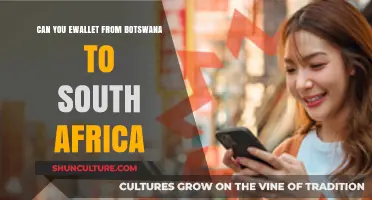 Cross-Border E-Wallet Transfers: Botswana to South Africa Explained