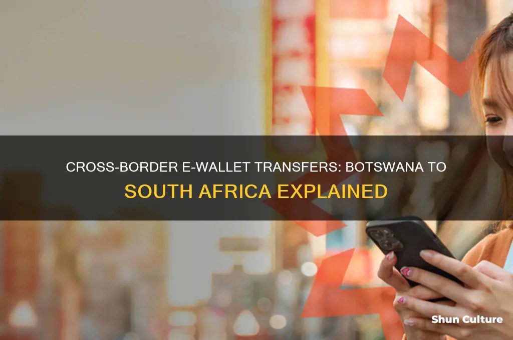 can you ewallet from botswana to south africa