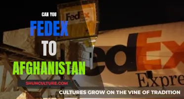 FedEx's Tricky Task: Delivering to Afghanistan