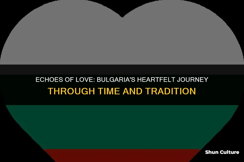 can you feel my heart bulgaria