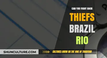Fighting Back Against Thieves in Rio: Risks, Strategies, and Safety Tips