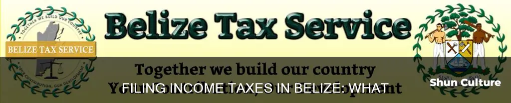 can you file your income taxes in belize