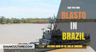Exploring Brazil's Marine Life: Can You Spot Blasto in Its Waters?