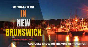 Fishing After Dark: New Brunswick Rules