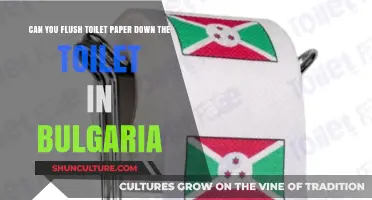 Bulgaria's Plumbing Guide: Toilet Paper Disposal Do's and Don'ts
