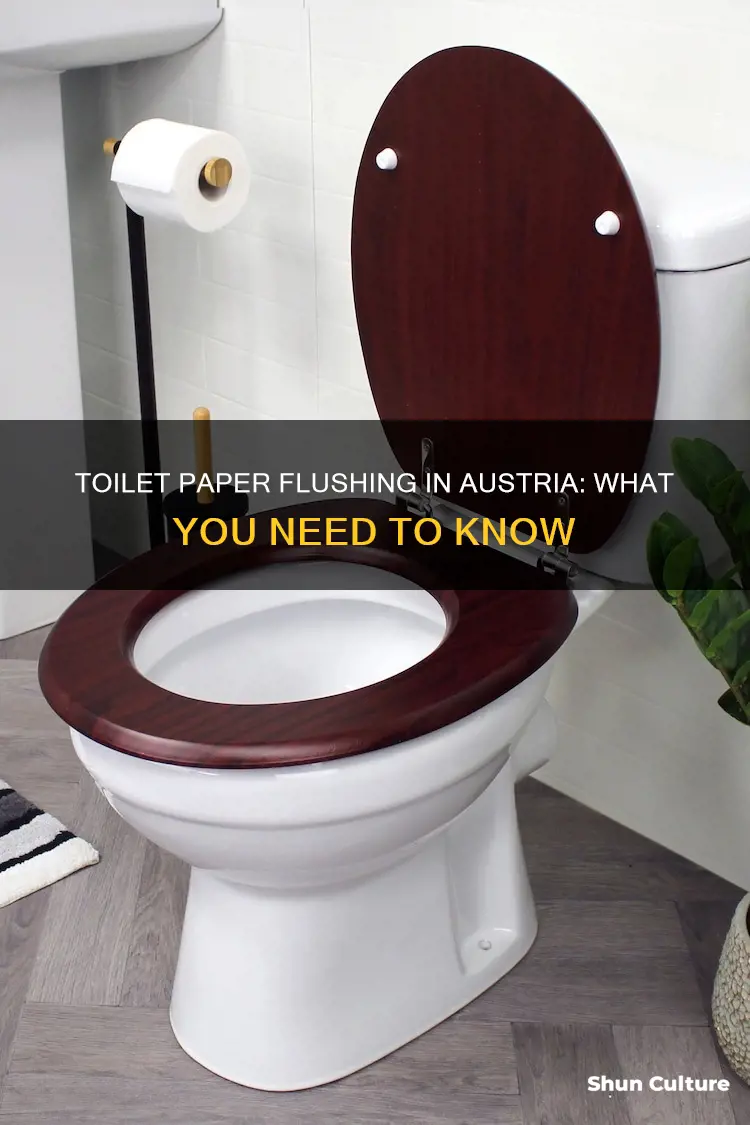 can you flush toilet paper in austria