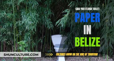 Toilet Paper Flushing in Belize: What You Need to Know