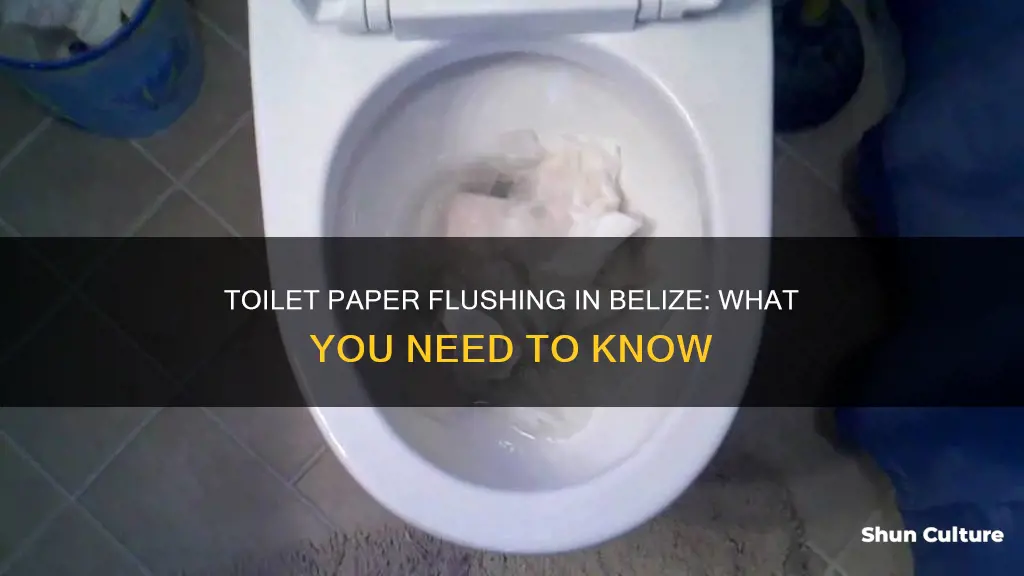 can you flush toilet paper in belize