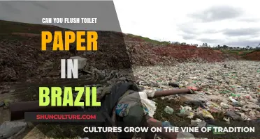 Flushing Toilet Paper in Brazil: What Travelers Need to Know