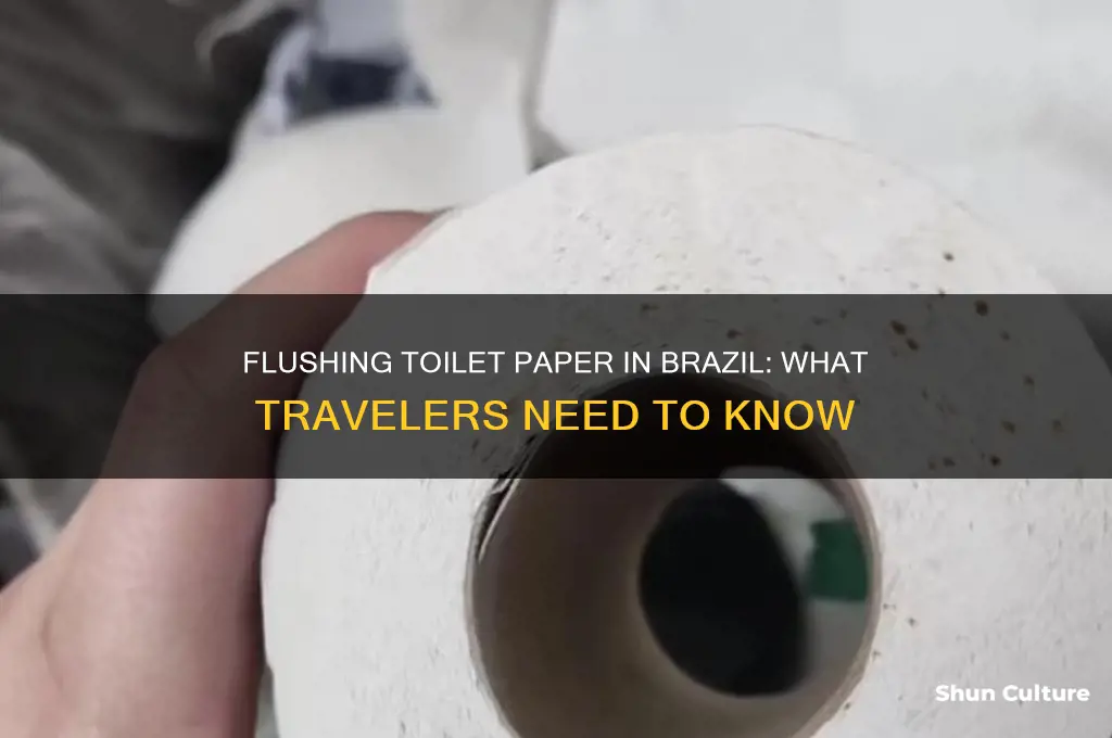 can you flush toilet paper in brazil