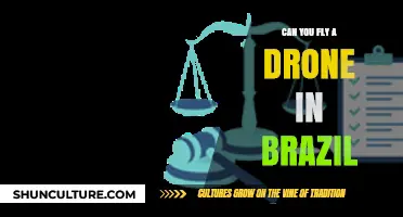 Drone Regulations in Brazil: Can You Legally Fly One?
