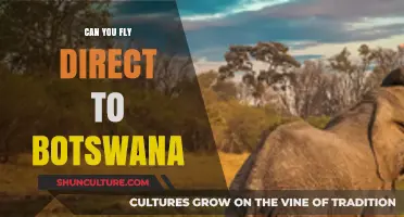 Direct Flights to Botswana: Your Ultimate Travel Guide and Options