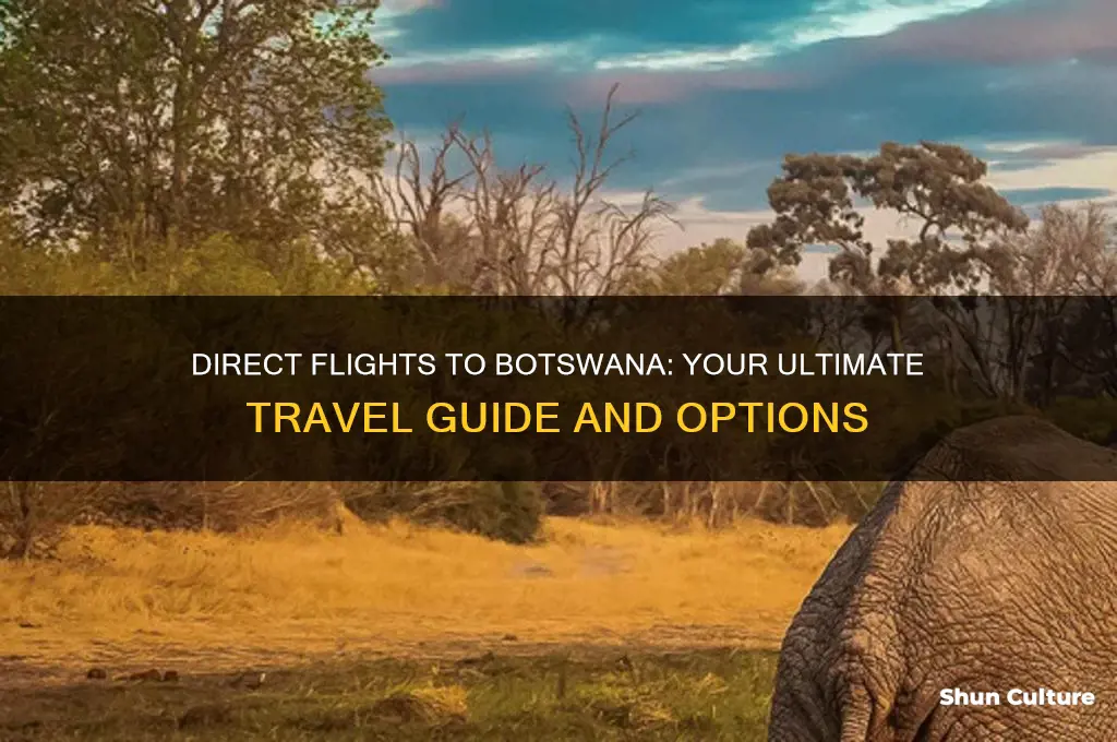 can you fly direct to botswana