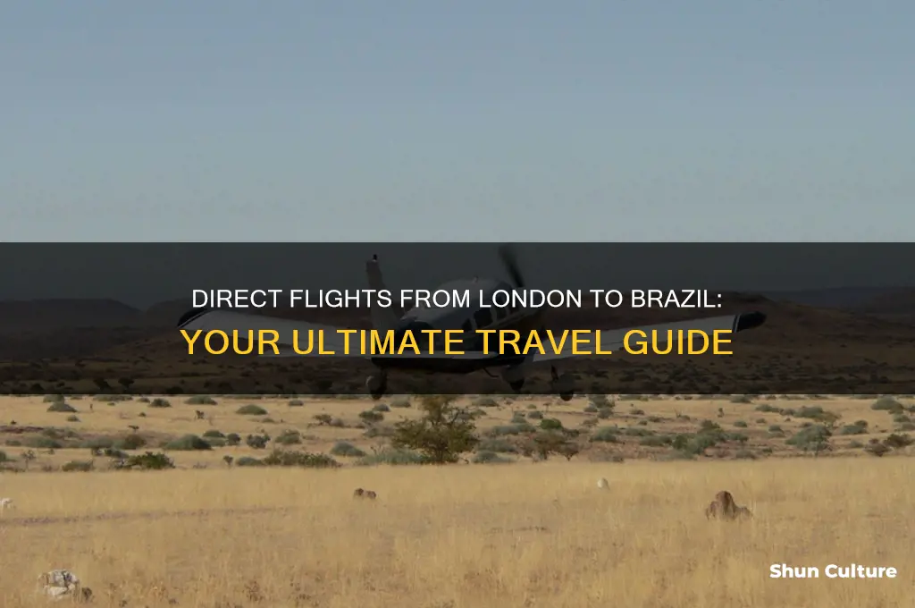 can you fly direct to brazil from london