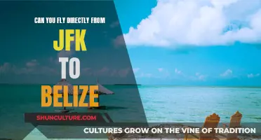 Direct Flights from JFK to Belize: What You Need to Know