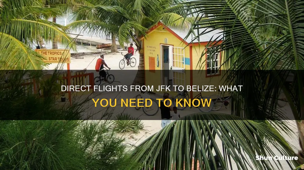 can you fly directly from jfk to belize