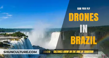 Exploring Brazil's Drone Laws: Can You Fly Drones Legally?