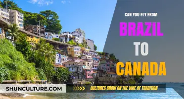 Exploring Direct Flights: Brazil to Canada Travel Options Revealed