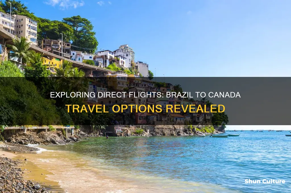 can you fly from brazil to canada