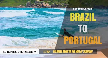 Flying from Brazil to Portugal: Routes, Airlines, and Travel Tips