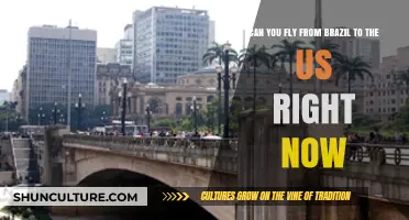 Flying from Brazil to the US: Current Travel Restrictions and Requirements