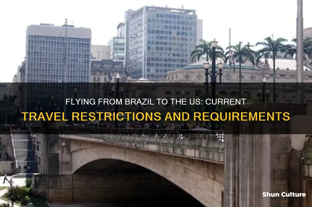 can you fly from brazil to the us right now