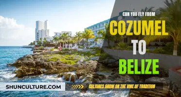 Exploring Cozumel to Belize: A Quick Flight Away