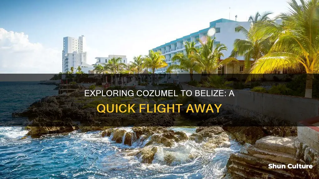 can you fly from cozumel to belize