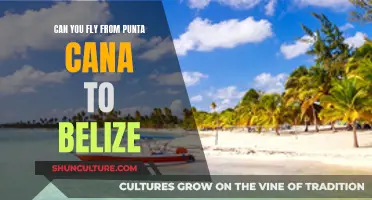 Travel Options: Punta Cana to Belize