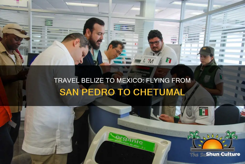 can you fly from san pedro belize to chetumal