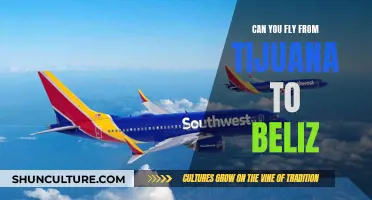 Traveling from Tijuana to Belize: A Flight Away?